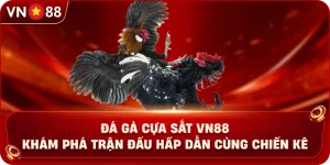 da-ga-cua-sat-vn88-kham-pha-tran-dau-hap-dan-cung-chien-ke
