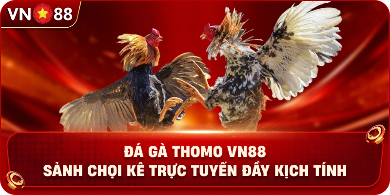 da-ga-thomo-vn88-sanh-choi-ke-truc-tuyen-day-kich-tinh