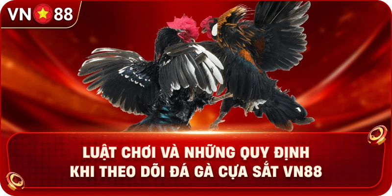 luat-choi-va-nhung-quy-dinh-khi-theo-doi-da-ga-cua-sat-vn88