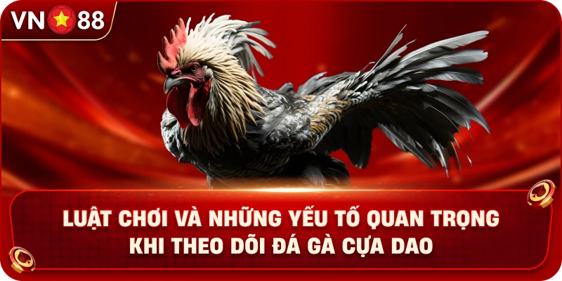 luat-choi-va-nhung-yeu-to-quan-trong-khi-theo-doi-da-ga-cua-dao